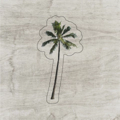 Palmeras #3 - comprar online