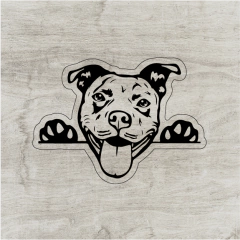 Pit Bull #5