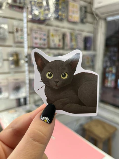Stickers personalizados + Diseño Studio Ghibli en internet