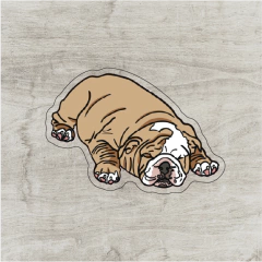 Shar pei #2