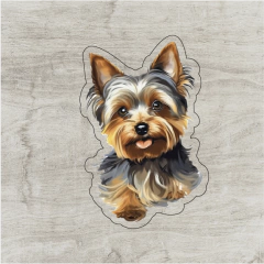 Yorkie #2