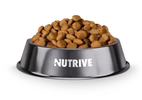 KG NUTRIVE FILHOTE P/P