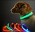 COLLAR PERRO LUZ LED