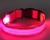 COLLAR PERRO LUZ LED