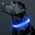 Collar para Mascotas con Luz Led - Celeste | Rojo - TiendaCumbre