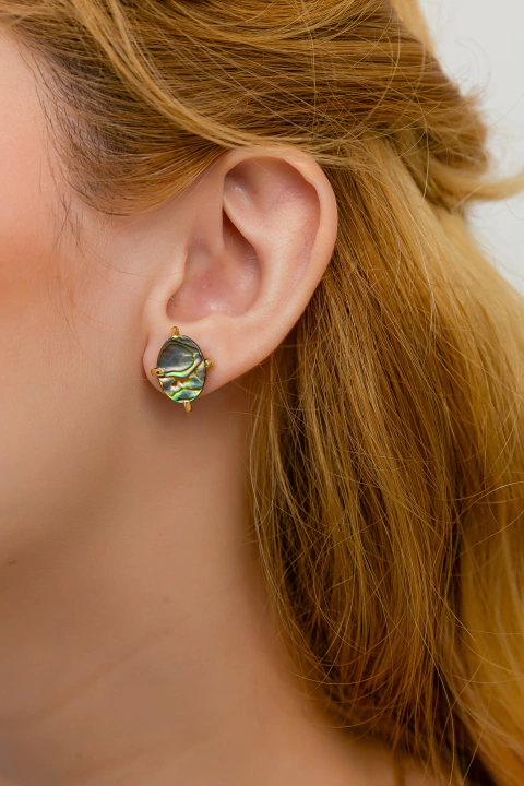 Brinco Abalone