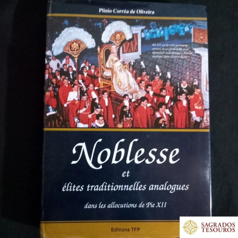 Noblesse et élites traditionnelles analogues