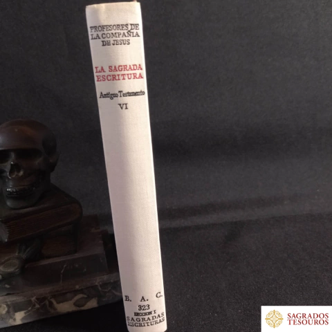 La Sagrada Escritura - VI