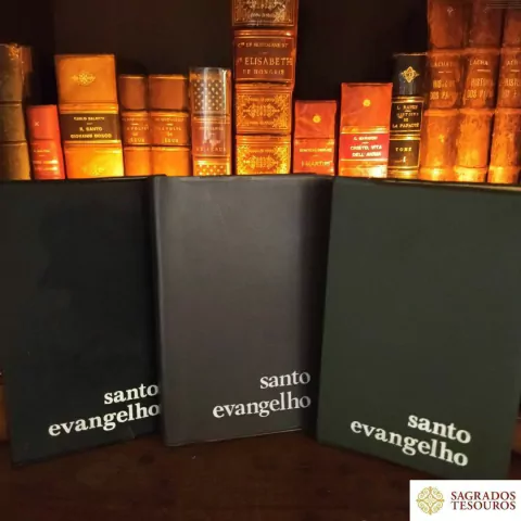 Santo Evangelho