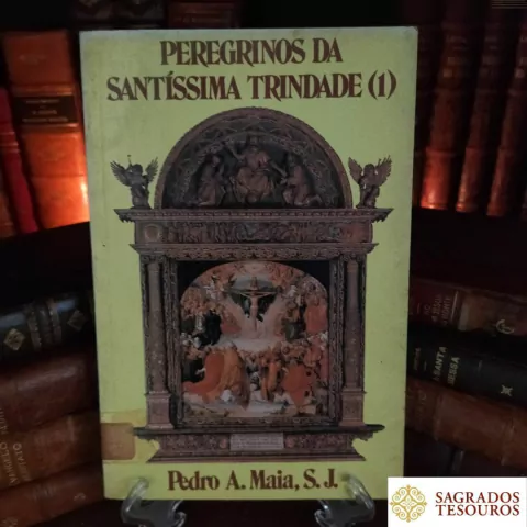 Peregrinos da Santíssima Trindade (1)