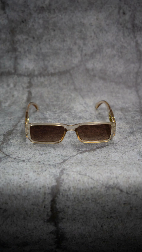 Gafas WILD REC - Marron transparente - comprar online