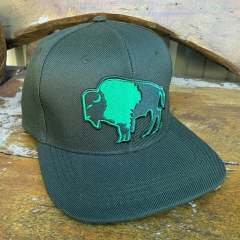 Boné Tatanka Verde Musgo Bisão Bordado em tons de verde - comprar online