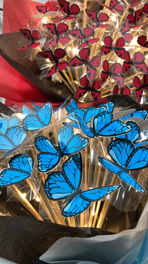 Buquê de Borboletas