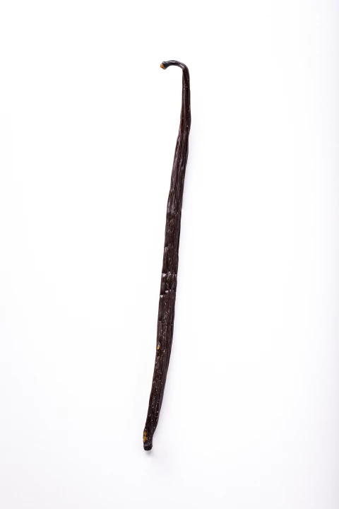 Fava de baunilha planifolia (Baunilha de Madagascar) - Grade A - comprar online