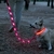 Collar de Perro con Luz LED - tienda online