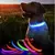 Collar de Perro con Luz LED en internet