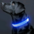 Collar de Perro con Luz LED - Ana Store Argentina