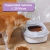 Contenedor Plegable y Hermético de 20L Para Alimento de Mascotas Con Tapa y Ruedas Waggs - comprar online