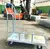 Carrinho Plataforma Capacidade De Carga 300kg - Platacar - loja online