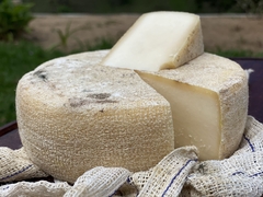 Queijo canastra maturado meia lua