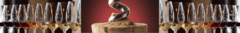 Banner de la categoría Combos