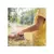 Repelente Natural Sem Álcool Sai Mosquitinho 120ML - Bioclub - loja online