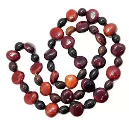 GUIA DE COQUINHO COM OLHO DE BOI