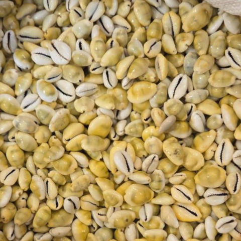 BUZIO GEMA FECHADO KG