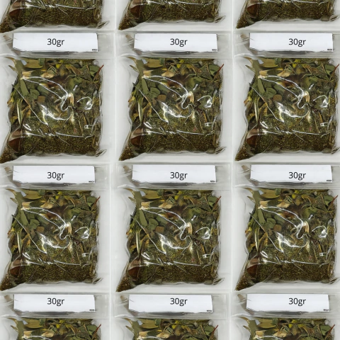 BANHO EM ERVA (CARTELA C/10) PROTECAO