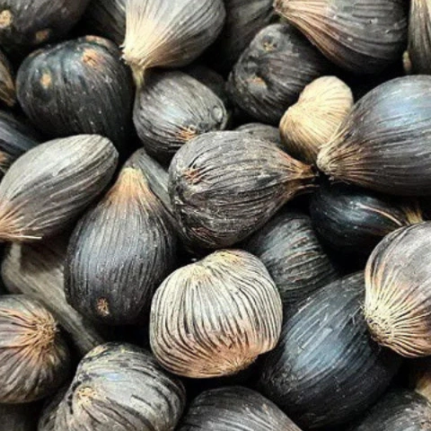 6X IKIN IKINES (IFÁ)