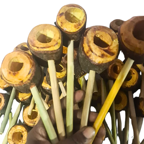 6X CACHIMBO DE JUREMA