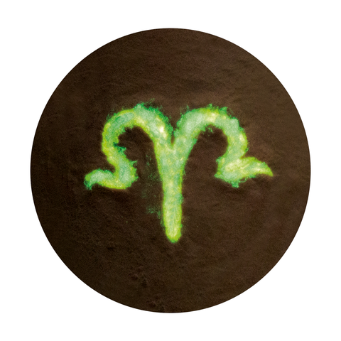 Aplicación De Aries - comprar en línea