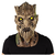 Máscara De Wood Spirit Man en internet