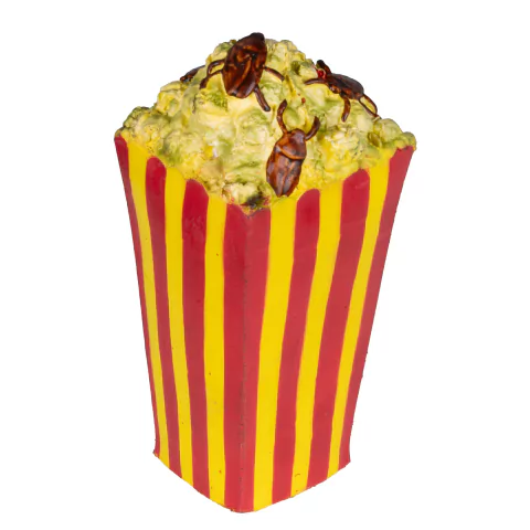 Nasty Popcorn - comprar en línea