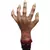 Staff Zombie Hand