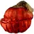 Calabaza Maldita - Ghoulish Productions