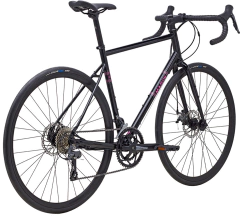 Nicasio (2023) en internet