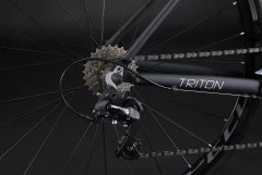 Imagen de Triton