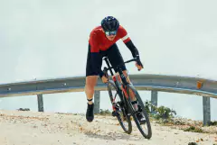 Topstone Carbon 6 en internet