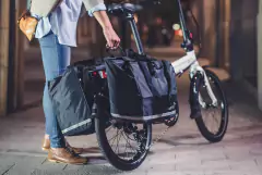 Big Mouth Pannier en internet