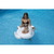 Inflable de Cisne para bebés 80cm x 80cm ™ - comprar online