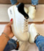 Adidas Push