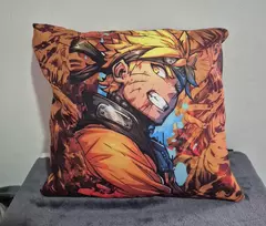Imagen de Almohadones