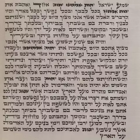 Pergamino (Klaf) de Mezuzá - Alto 20 cm. - comprar online