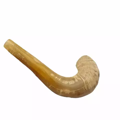 Shofar de Carnero Mediano de 34 a 37 cm (CA-M2) - comprar online