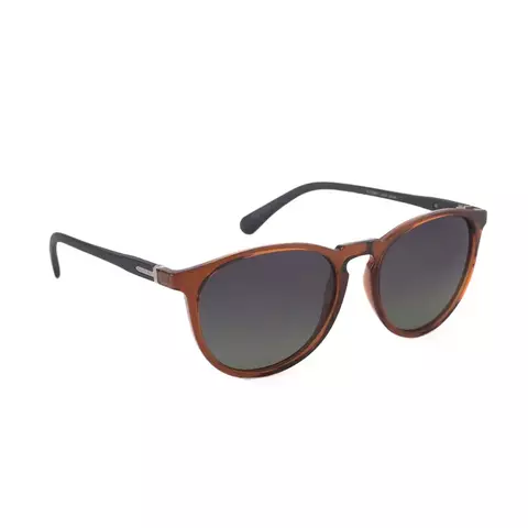 Anteojos de Sol Rusty Ardigan d.brown-mblk/drt04