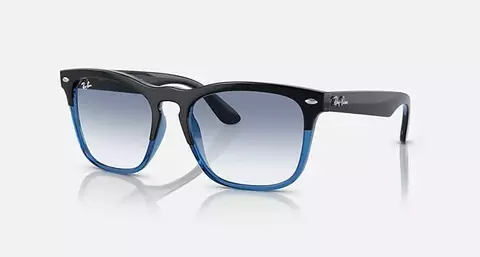 Anteojos de Sol Ray-ban Steve RB 4487 6632/19 54