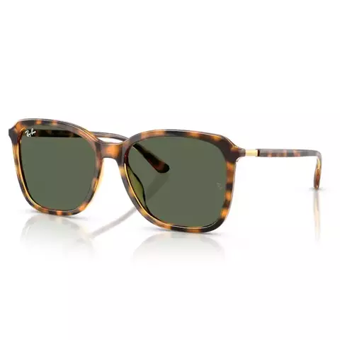 Anteojos de Sol Ray-Ban RB 4417L 631171 55