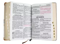 BIBLIA RVR061cLGPJRTI-ENC CON ENCICLOPEDIA en internet