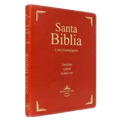 BIBLIA COLOR MARRON LETRA SUPER GIGANTE RVR096CLSGIPJRTI - comprar en línea